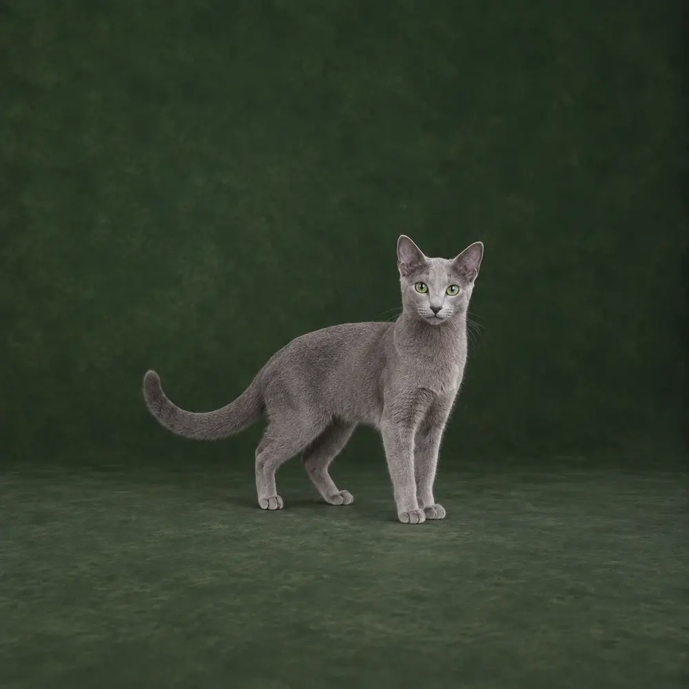 Portrait généré de Bleu russe